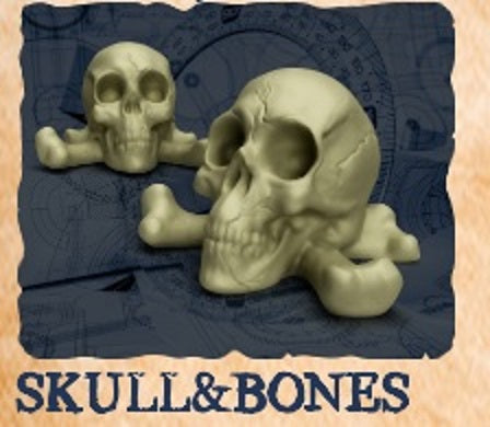 Painted Plastic 10-pack Resource Tokens: Skull & Bones